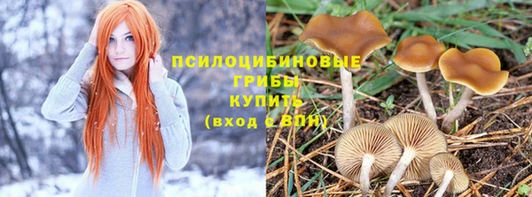 экстази Богданович